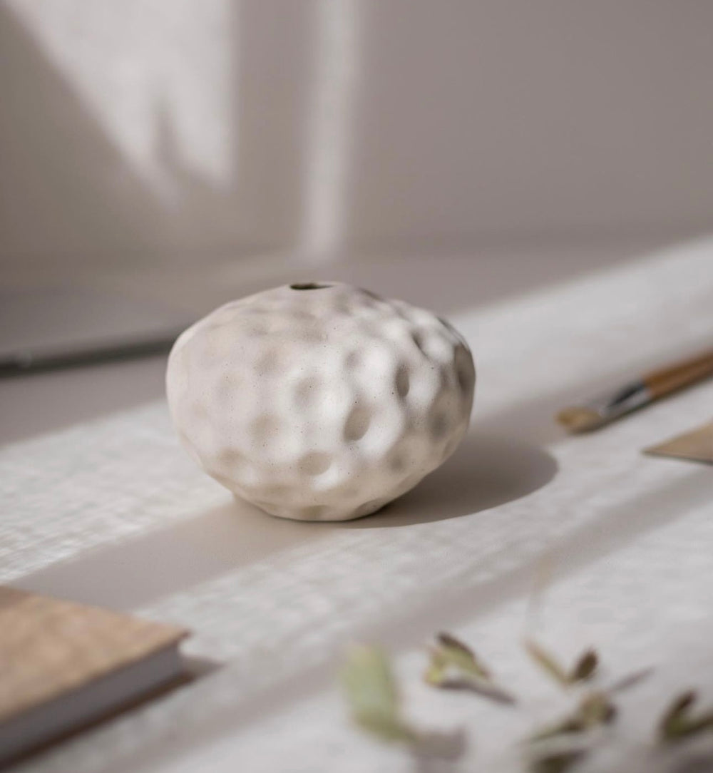 Seedpod small - Vanilla