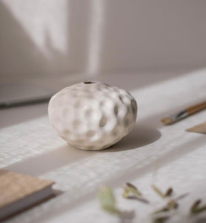 Seedpod small - Vanilla