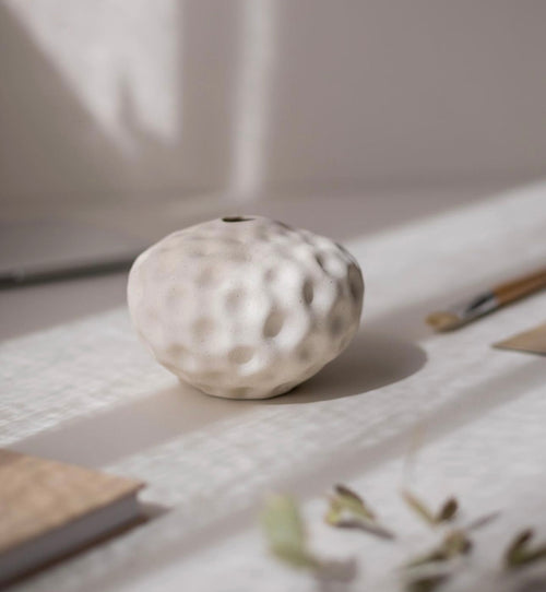 Seedpod small - Vanilla